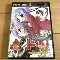 PS2ソフト ゲームになったよ！ドクロちゃん