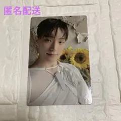 SEVENTEEN グローバル メンバーシップ メンシプ トレカ ディノ