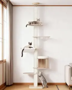 Item thumbnail for item ae981c33-9c98-4b48-8c8a-dc7f7bb07ae0