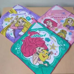 ディズニープリンセス ループ付タオルセット
