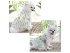ストライプ ワンピース 犬服 イエロー ブルー 可愛い 涼しげ 春夏 Mサイズ