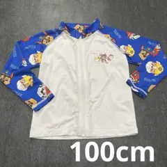 ラッシュガード　水着　100cm パウパトロール