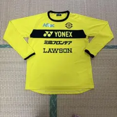 柏レイソル プラクティスシャツ トレーニング トップチームモデル 長袖のサムネイル