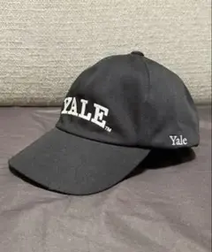 極美品 COMESANDGOES カムズアンドゴーズ YALE 1LDK