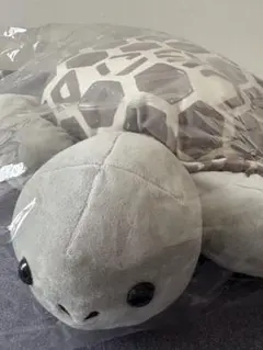 2025年最新】渋谷すばる ぬいの人気アイテム - メルカリ