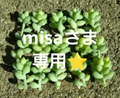 misa様 リクエスト 2点 まとめ商品⭐