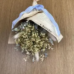 Item thumbnail for item 6cd0d921-3313-4649-9c46-aecf8290072c