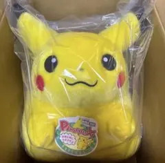 ポケモン30周年記念おかえり!ピカチュウ1/1