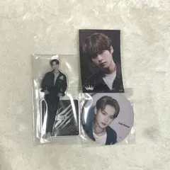 straykids スキズ リノ ソリクン アクリルスタンド アクスタ