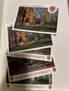 Item thumbnail for item f2f05cc1-4836-4001-a61e-e55e12f8d66b