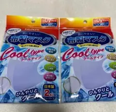 グンゼ 肌着屋さんがつくった 布製マスク 2枚入 GUNZE 立体型 男女兼用のサムネイル