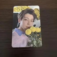 ウォヌ your choice トレカ