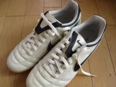 Item thumbnail for item 69ad89a7-7a01-4cfe-b0fd-af1c62c3ae8c