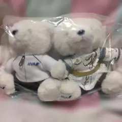 2025年最新】ana フライトベアの人気アイテム - メルカリ