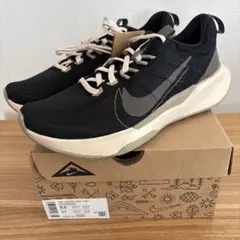 Item thumbnail for item d1efefdb-c2d1-4105-bee1-79efbbf028c4