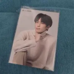 SEVENTEEN ウォヌ　ザセム　the SAEM 八尾　両面トレカ