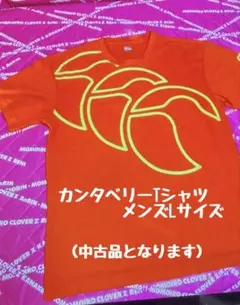 カンタベリー　ラグビー　Tシャツ　Lサイズ　オレンジのサムネイル