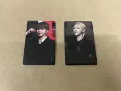 &TEAM アジアツアー ATB アンコン トレカ EJ NICHOLAS