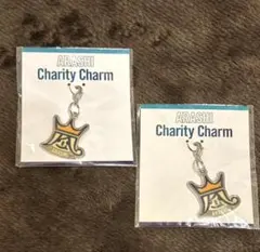 嵐 Beautiful World チャリティーチャーム
