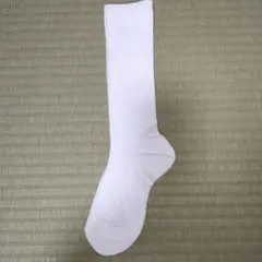 Item thumbnail for item 7a5f74f4-3a38-4cd2-a140-98eb2f29e62d