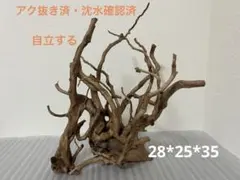 2026年最新】ブランチウッドの人気アイテム - メルカリ