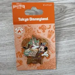 ✨東京ディズニーリゾート✨ピンバッチ✨