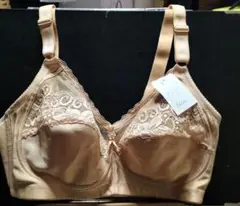 ブラジャー d70