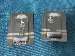 Seventeen 2025 home ジョシュア ジュン キーリング セット