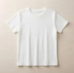 【9月末まで】ワークマン リブTシャツ Lサイズ 白