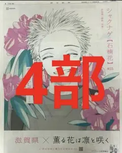 薫る花は凛と咲く　朝日新聞全面広告4部　滋賀県　まるごと　新品　未開封