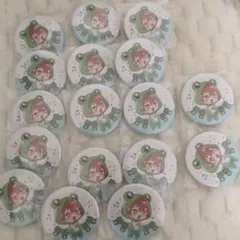 めいちゃん　引退品 グッズ まとめ売り　サイン入り缶バッジ 2025年最新】めいちゃんの人気アイテム - メルカリ