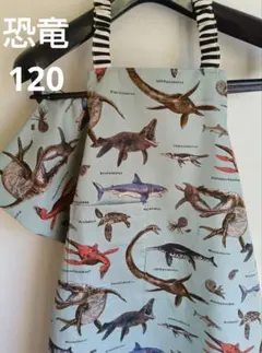 Item thumbnail for item 894abd2b-2c43-40ed-8c44-c27b4b413123