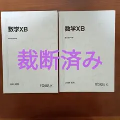 駿台 数学ZS XS 前期 2025年 最新版 東大 京大 最難関大学用 - メルカリ