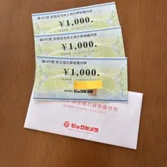 ビックカメラ株主優待株　3000円分