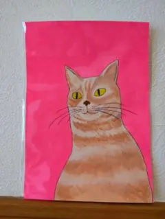 ポストカード　猫　手書き