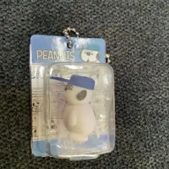 PEANUTS パッケージミニチュアコレクション