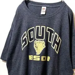 フルーツオブザルーム サウスバイソン ロゴ Tシャツ グレー 灰色 L 古着