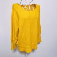 Item thumbnail for item e82d4365-cb91-4882-837d-93e725596f25