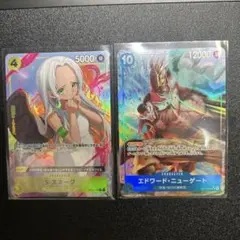 ワンピース カードゲーム S-スネーク & エドワード・ニューゲート