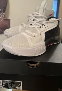 jordan zoom separate PF ジョーダン　スニーカー