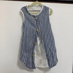 Item thumbnail for item d980d7bc-03d9-4b42-86be-c8f31cf7cc59