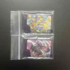 ポケモンフレンダ スーパートレジャー2枚セット