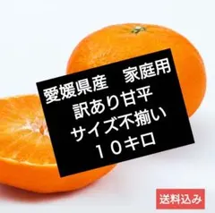 2026年最新】甘平 10kgの人気アイテム - メルカリ