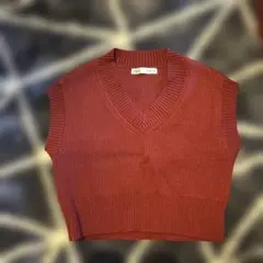 ZARA ブラウン ノースリーブベスト