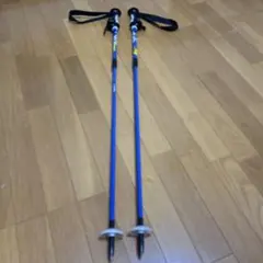 アトミック　スキーボール（シナノ製）100〜123cm