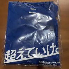 シーホース三河 2024-25シーズン Tシャツ XXL 半袖　缶バッジ付き