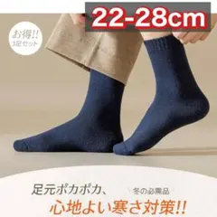 極暖38℃恒温 ウール混 厚手靴下 3足セット 裏起毛 防寒ソックス 22-28