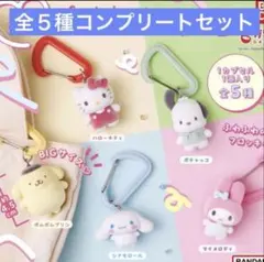 カラフルカラビナマスコットチャーム サンリオ コンプリートセット