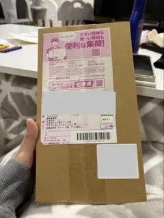 【新品未開封】ポケモンセンター スペシャルBOXヒロシマ