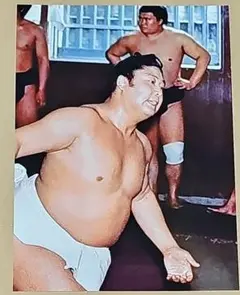 プロレス生写真 ペドロ・モラレス、ピーター・メイビア、ヘイスタック